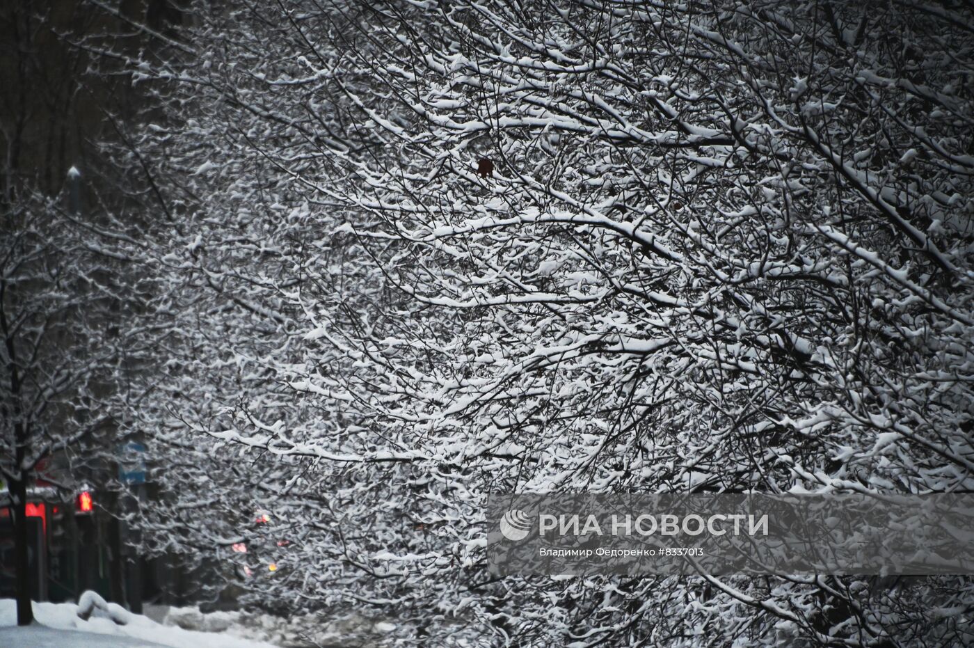 Снег в Москве