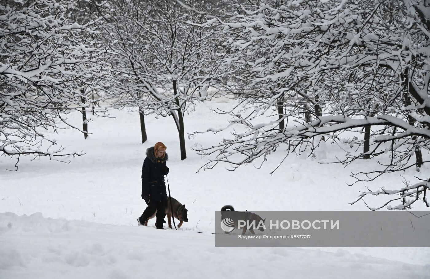 Снег в Москве