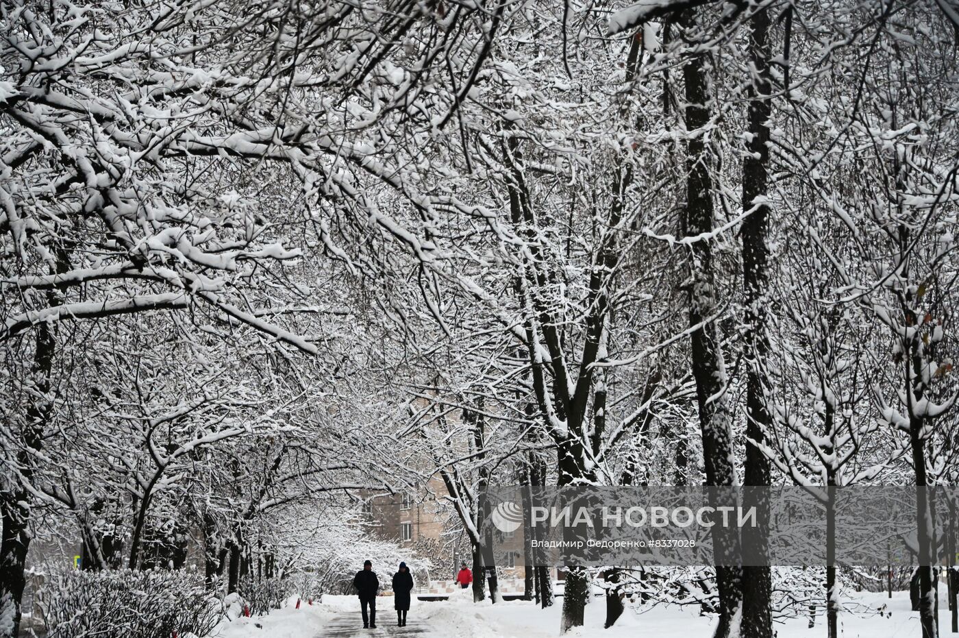 Снег в Москве