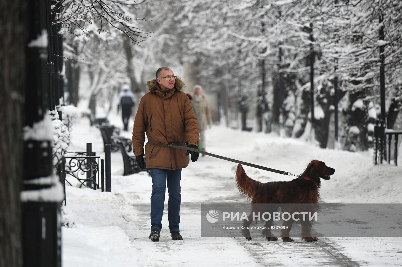 Снег в Москве