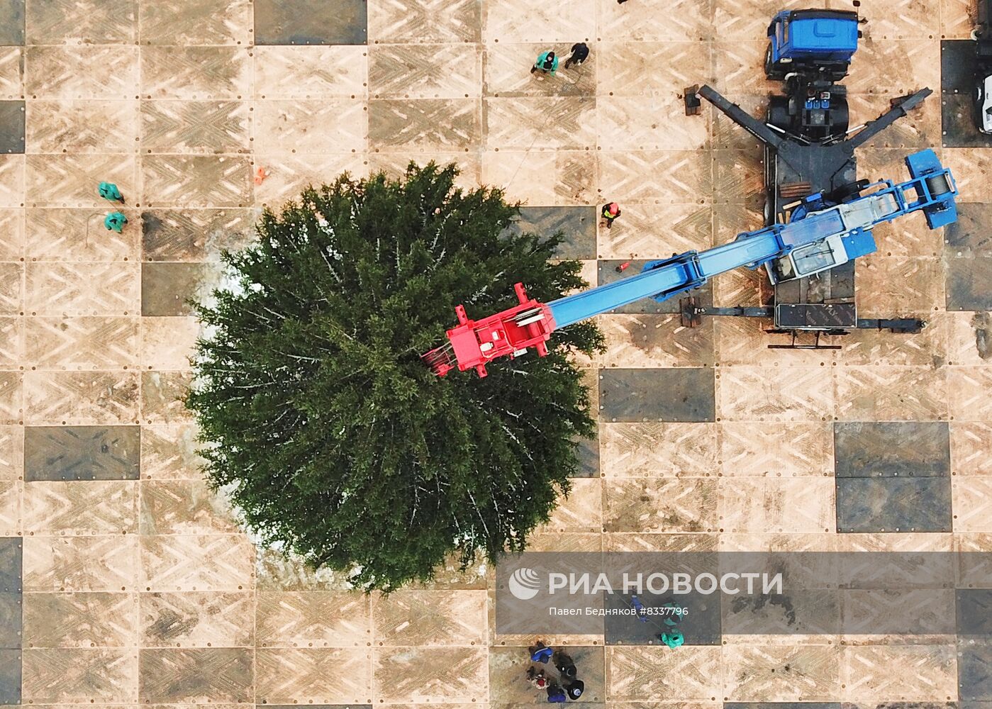 Рубка главной новогодней ели