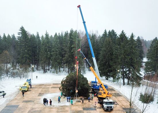 Рубка главной новогодней ели 