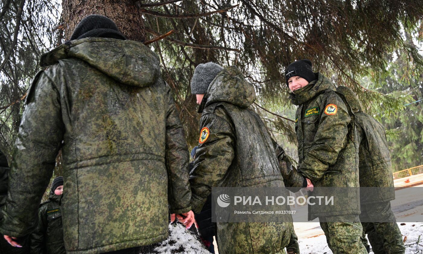 Рубка главной новогодней ели