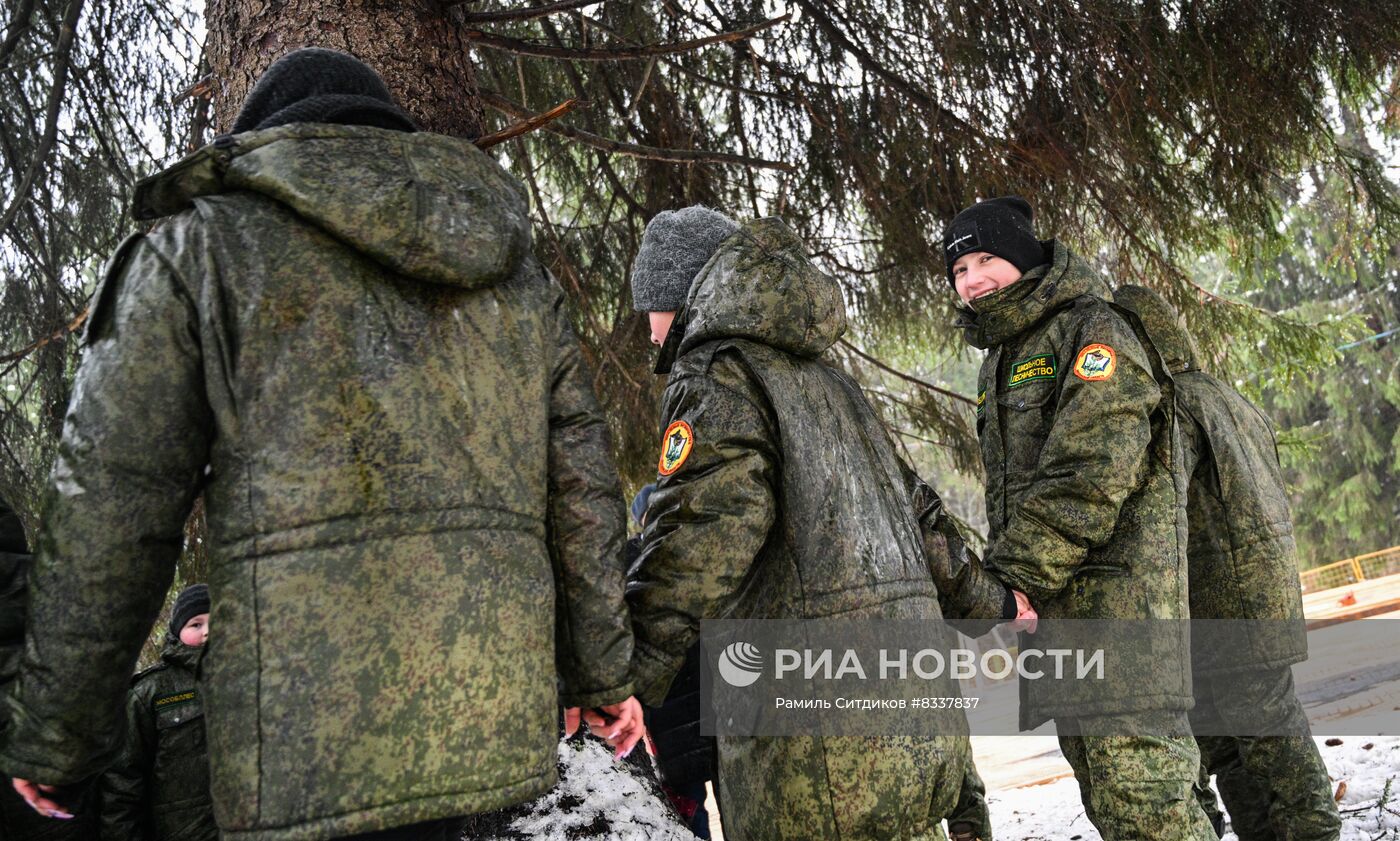 Рубка главной новогодней ели 