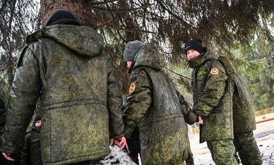 Рубка главной новогодней ели 