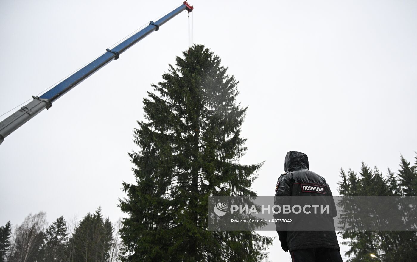 Рубка главной новогодней ели 