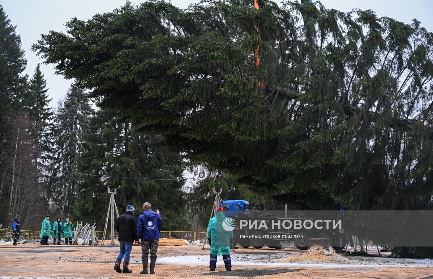 Рубка главной новогодней ели