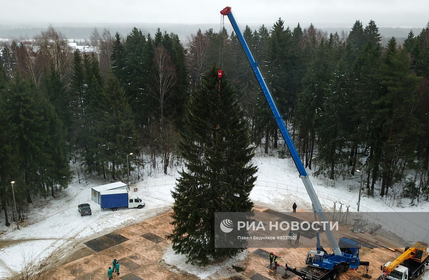 Рубка главной новогодней ели 