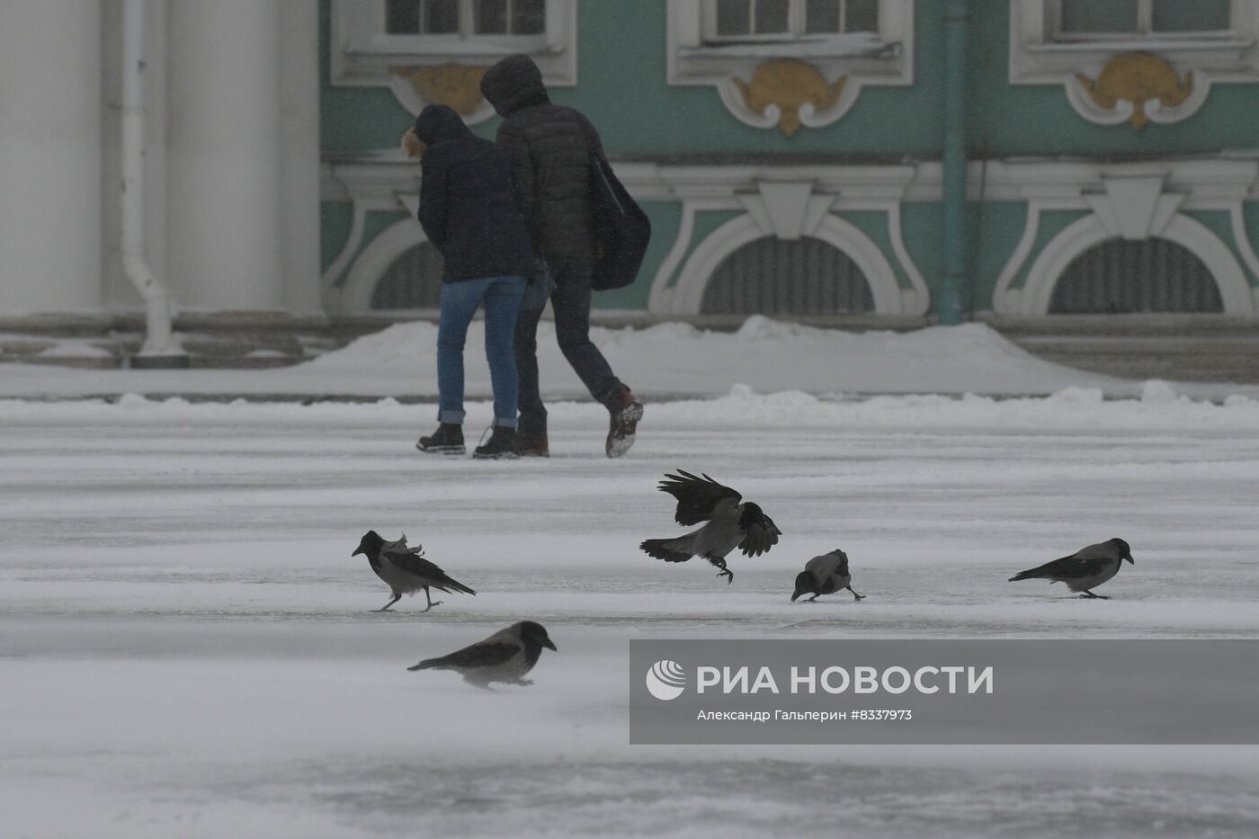 Южный циклон принес в Санкт-Петербург снежный шторм