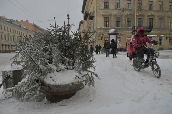 Южный циклон принес в Санкт-Петербург снежный шторм