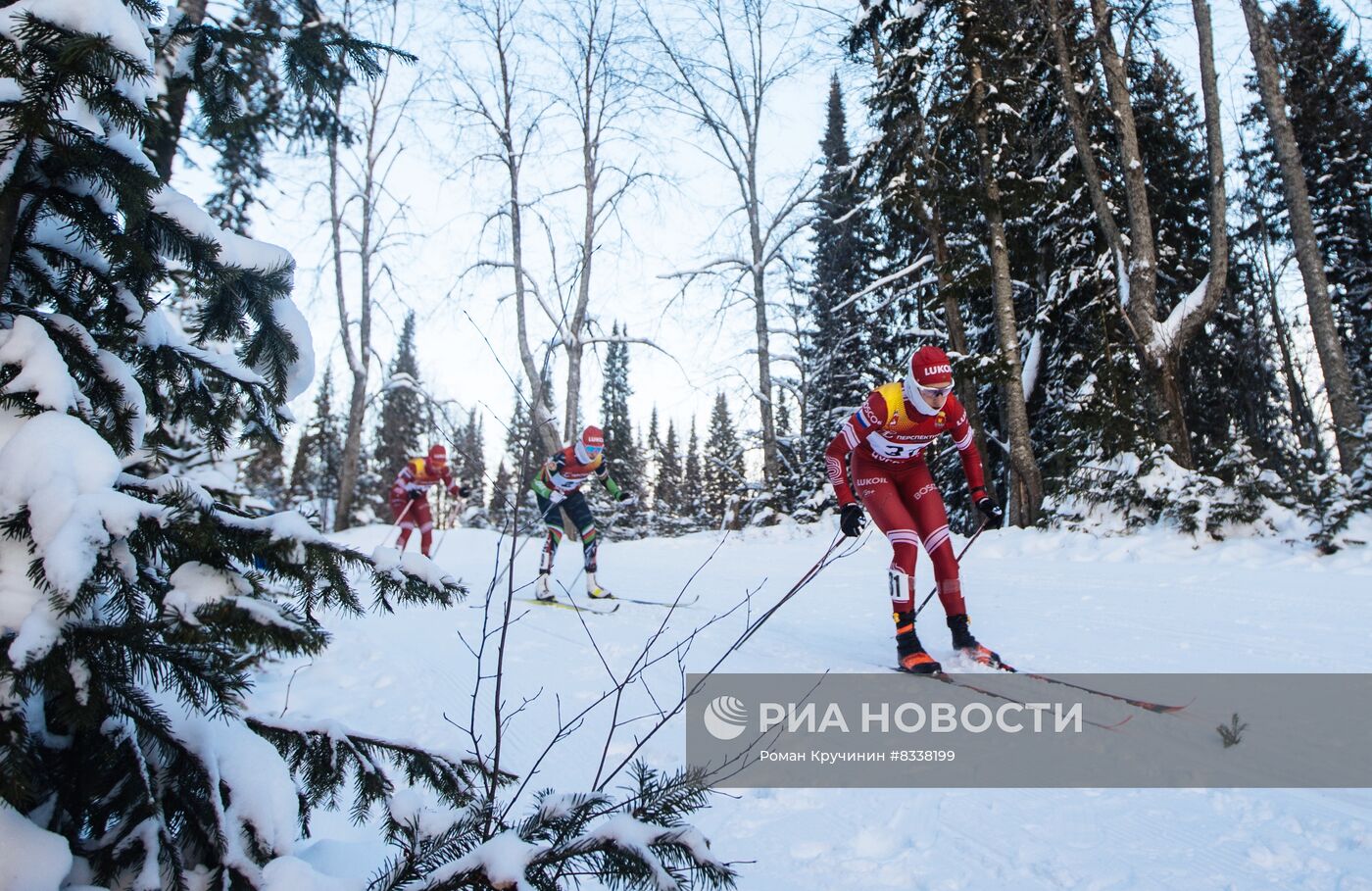 Лыжные гонки. Кубок России. Женщины. Гонка преследования