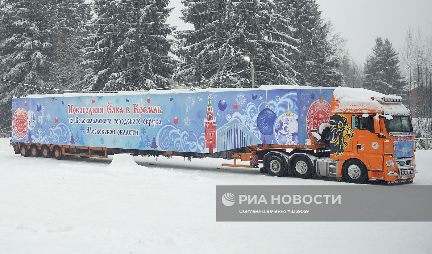 Отправка главной новогодней елки в Москву | РИА Новости Медиабанк