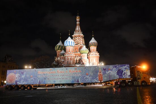 Доставка новогодней елки в Кремль 