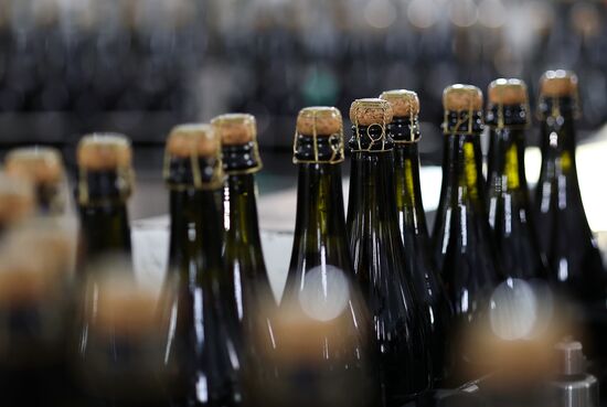 Производство игристого вина к Новому году в Краснодарском крае