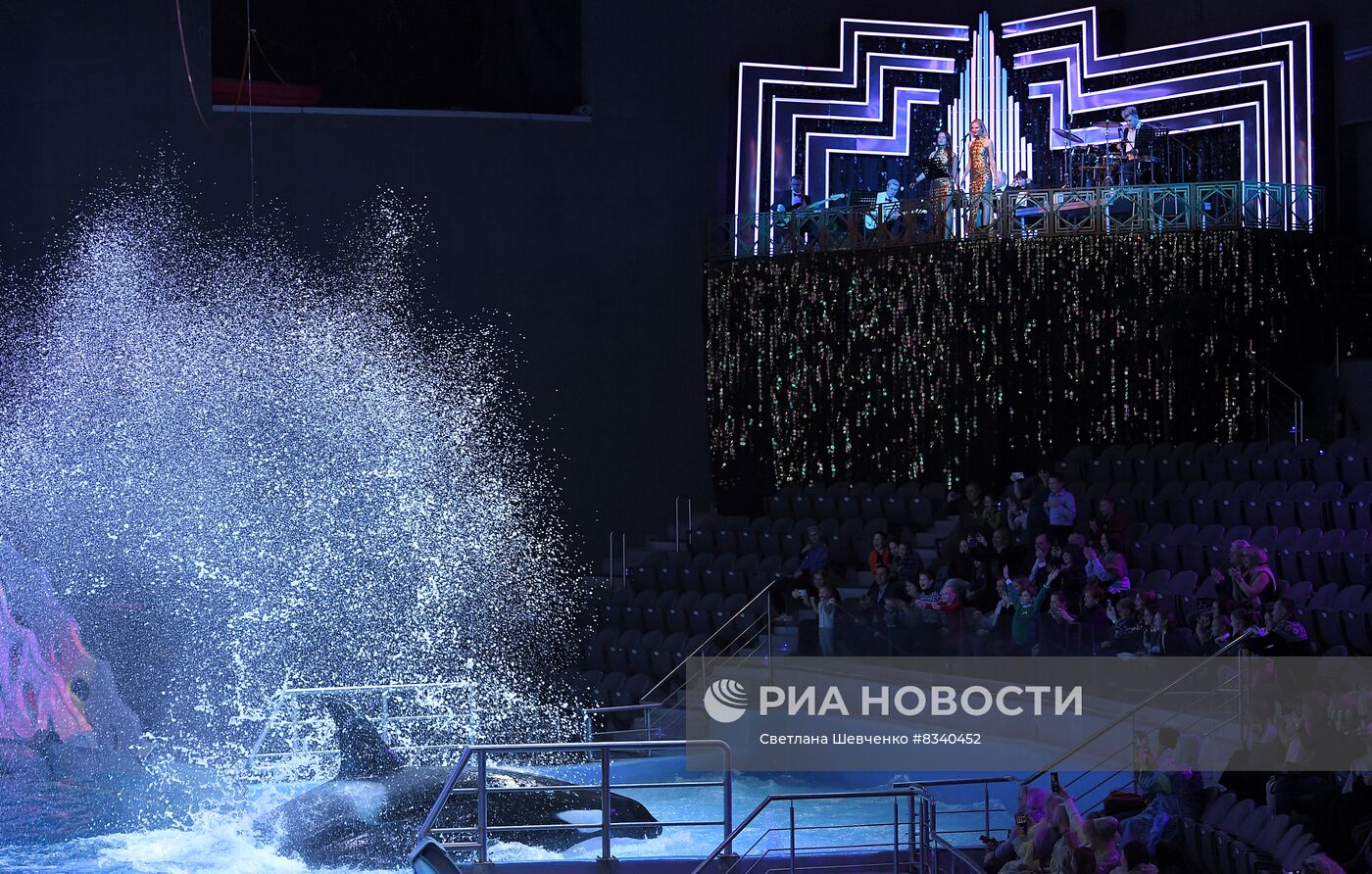 Премьера мюзикла на воде "Новогодний круиз" в "Москвариум"