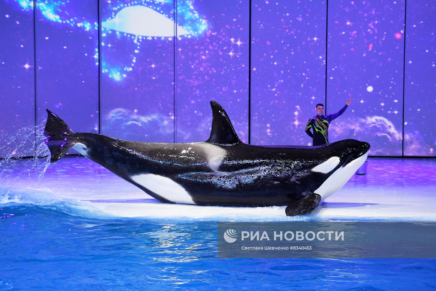 Премьера мюзикла на воде "Новогодний круиз" в "Москвариум"