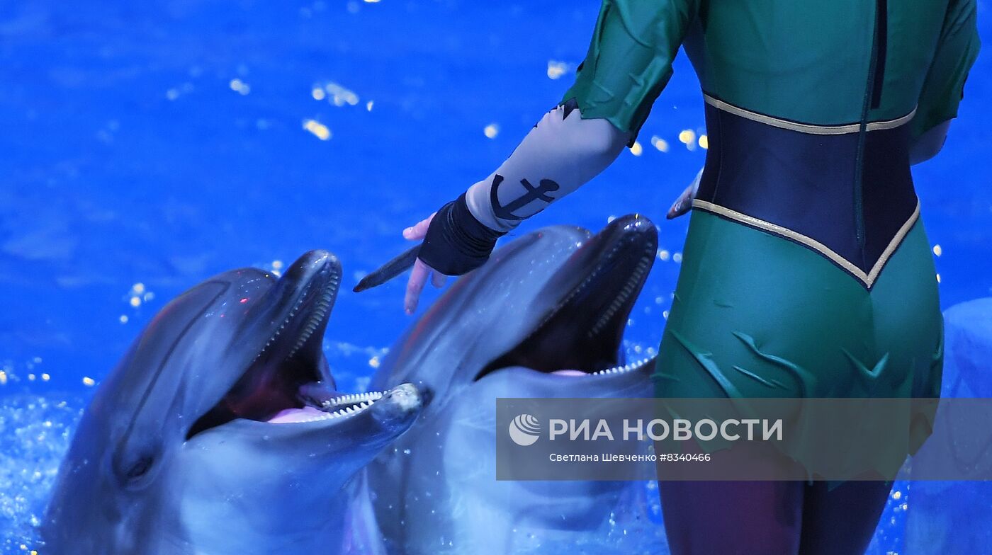 Премьера мюзикла на воде "Новогодний круиз" в "Москвариум"