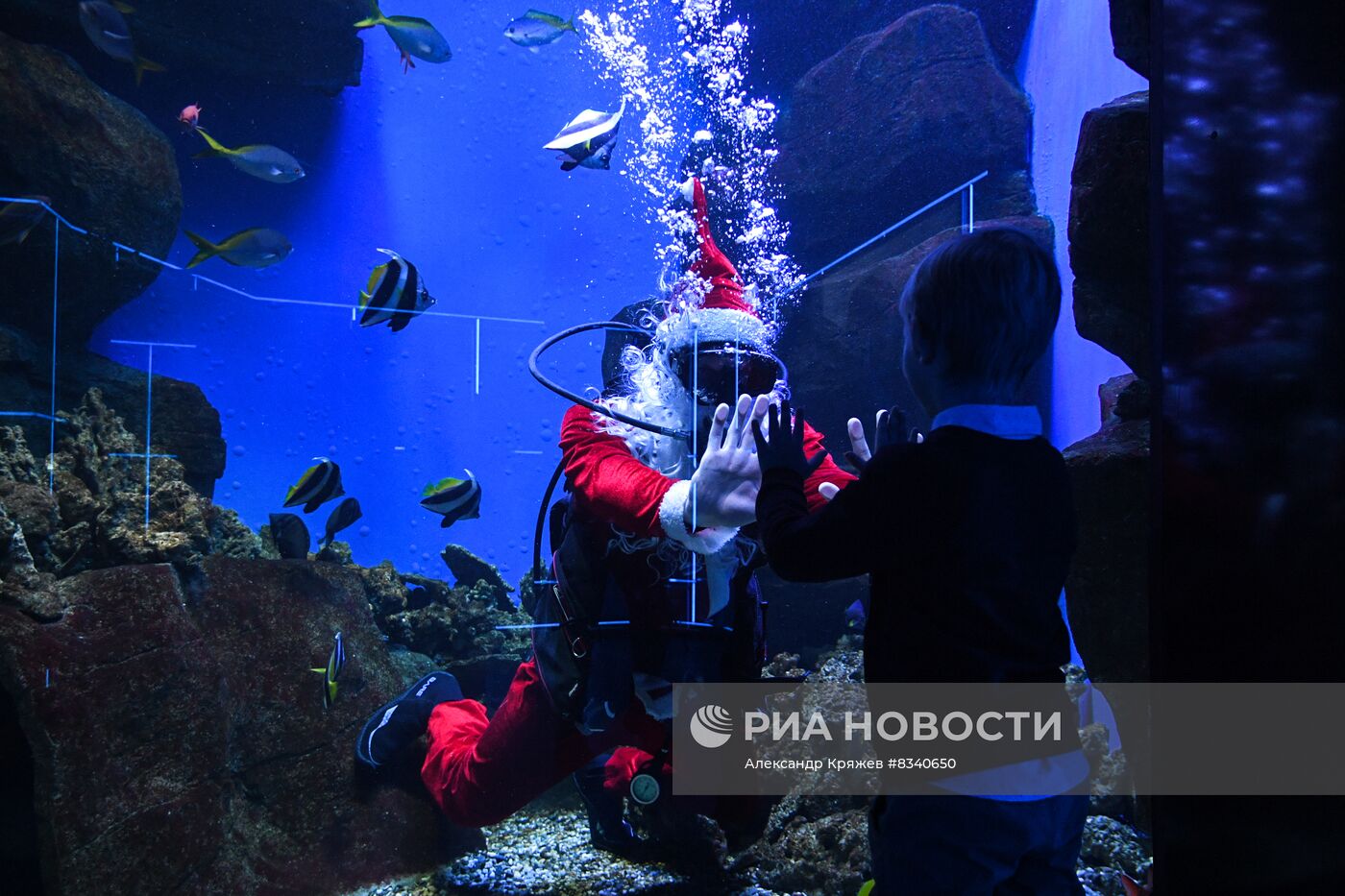 Дайвер в костюме Санта Клауса в Новосибирске