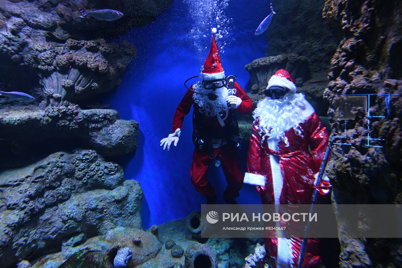 Дайвер в костюме Санта Клауса в Новосибирске