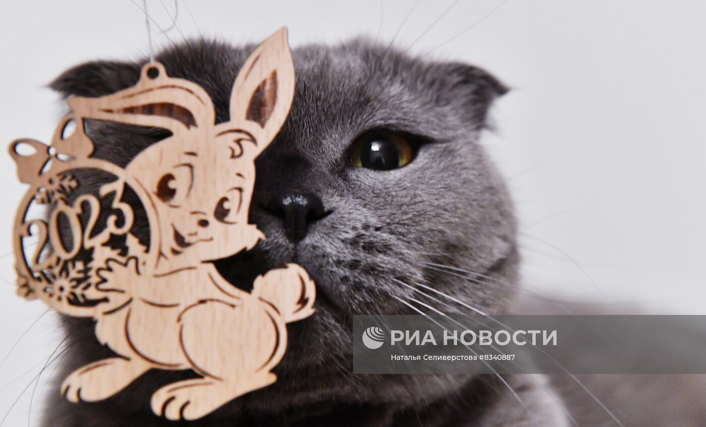 Новогодние символы года 2023