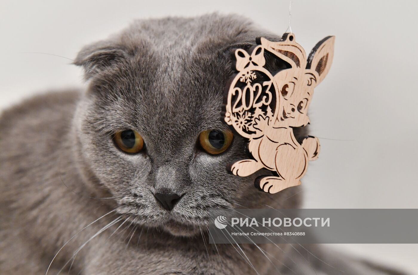 Новогодние символы года 2023