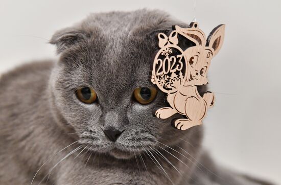 Новогодние символы года 2023