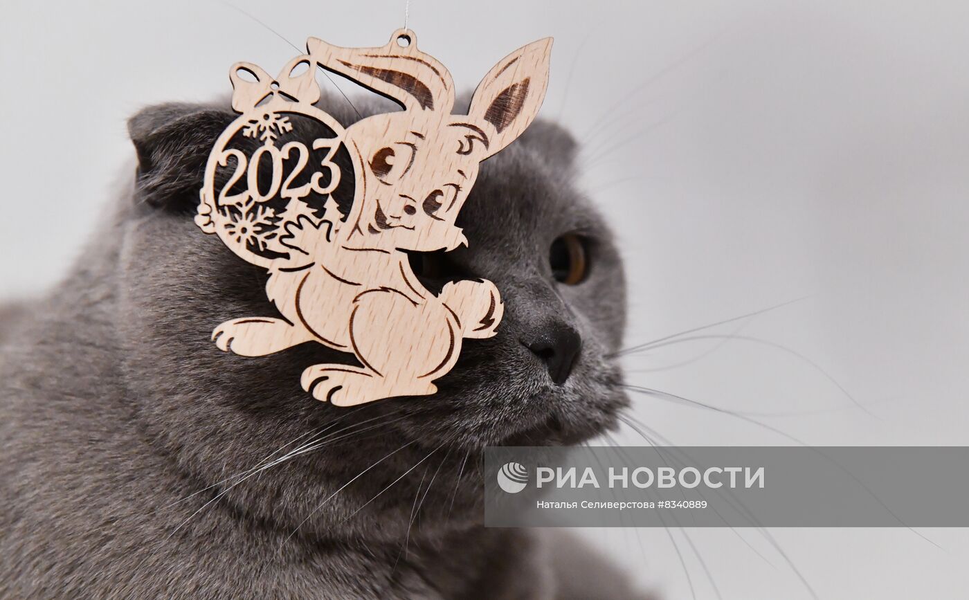 Новогодние символы года 2023