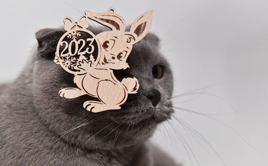 Новогодние символы года 2023