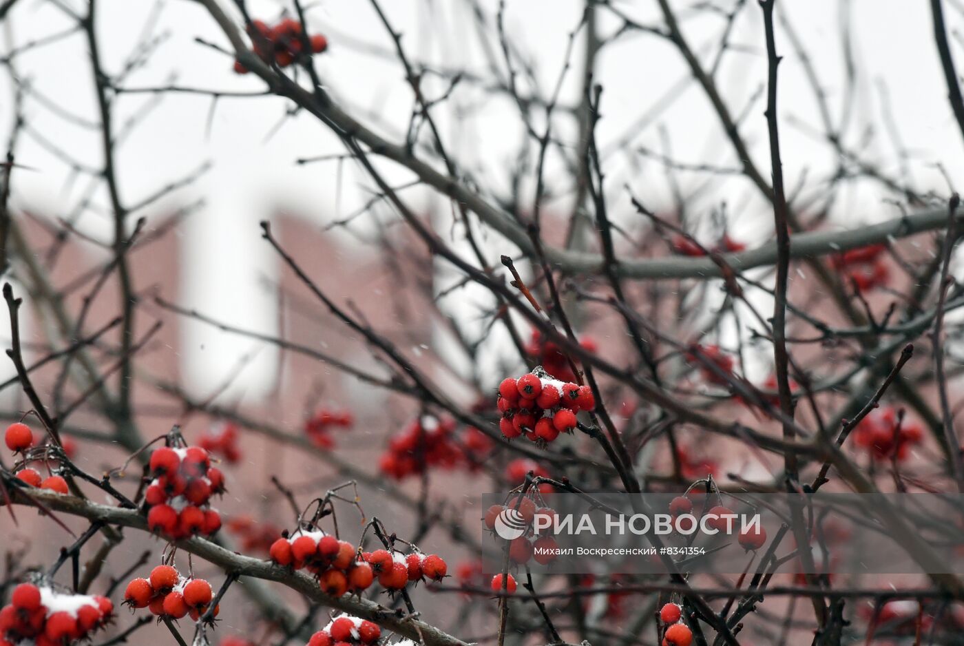 Снег в Москве