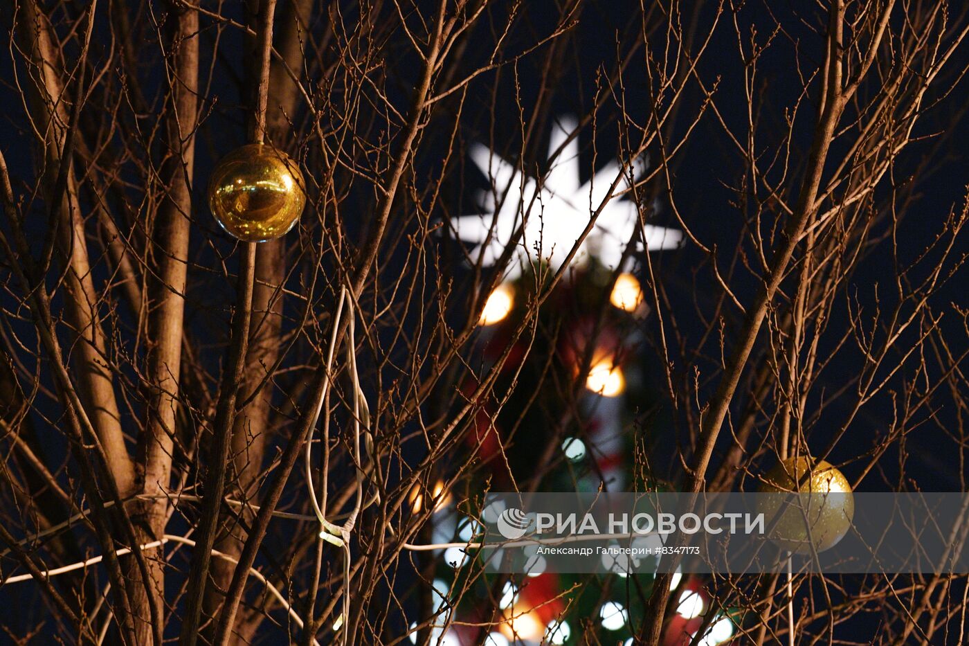 Предновогодний Санкт-Петербург