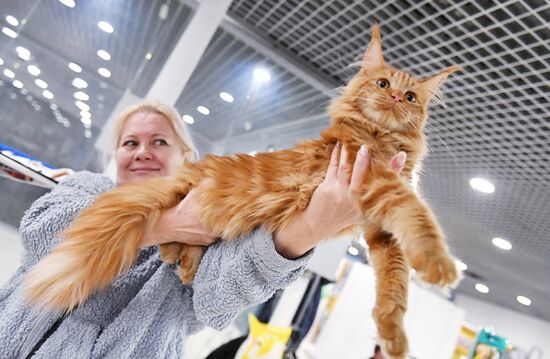 Выставка "КоШарики Шоу" в Москве