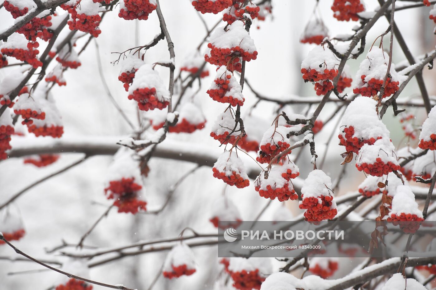 Снегопад в Москве