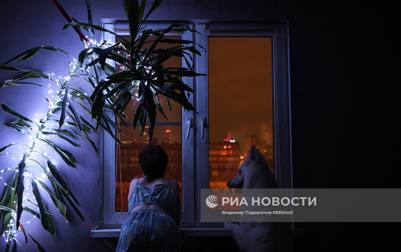 Празднование Нового года в регионах России