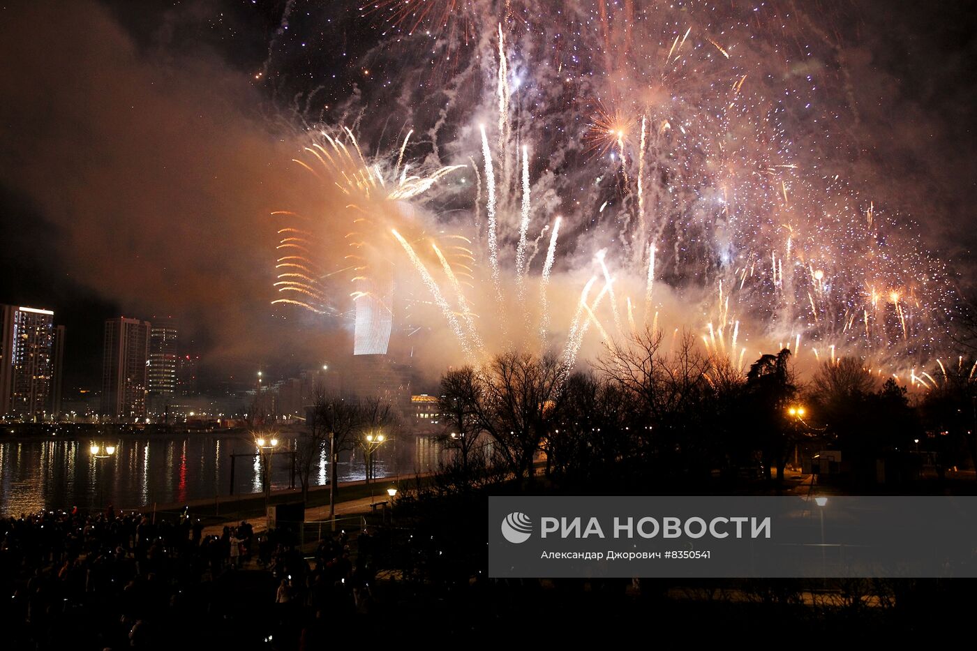 Празднование Нового года в странах мира