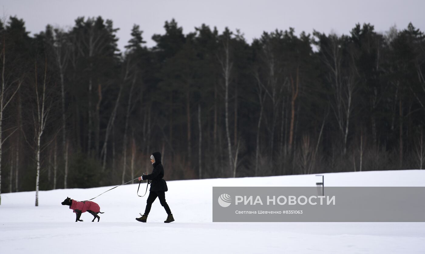 Отдых горожан в парках Москвы