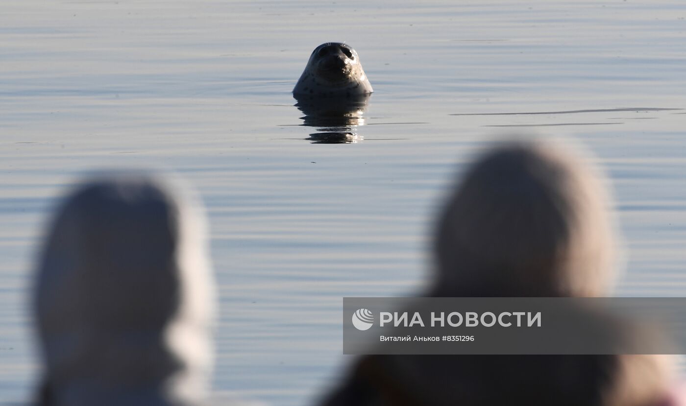 Отдых жителей Владивостока в новогодние каникулы