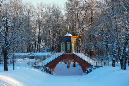 Зимний отдых в Царском Селе