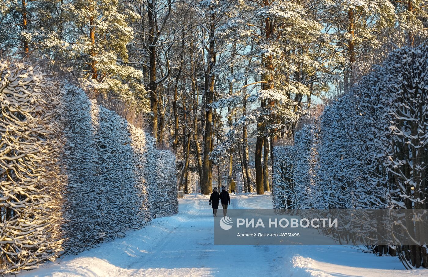 Зимний отдых в Царском Селе