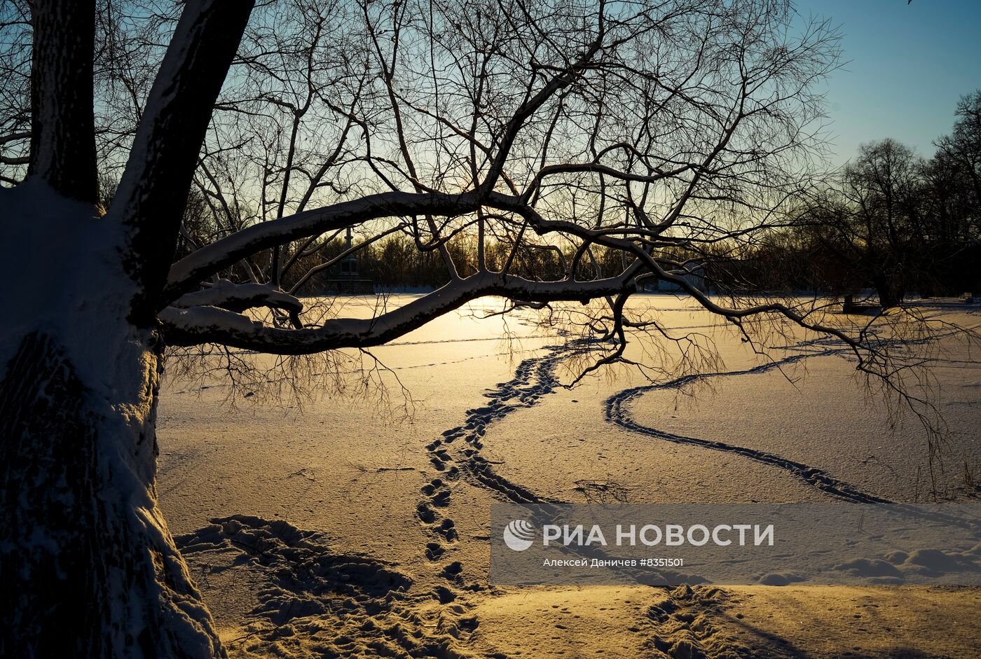 Зимний отдых в Царском Селе