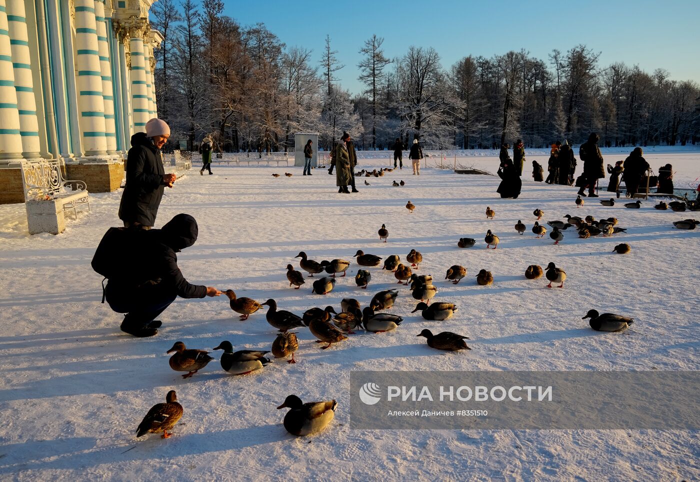 Зимний отдых в Царском Селе