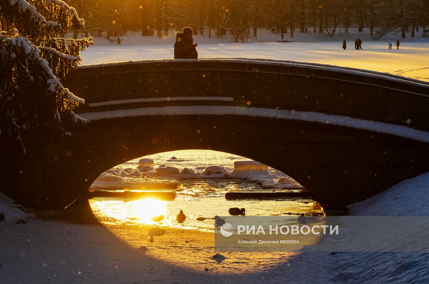 Зимний отдых в Царском Селе