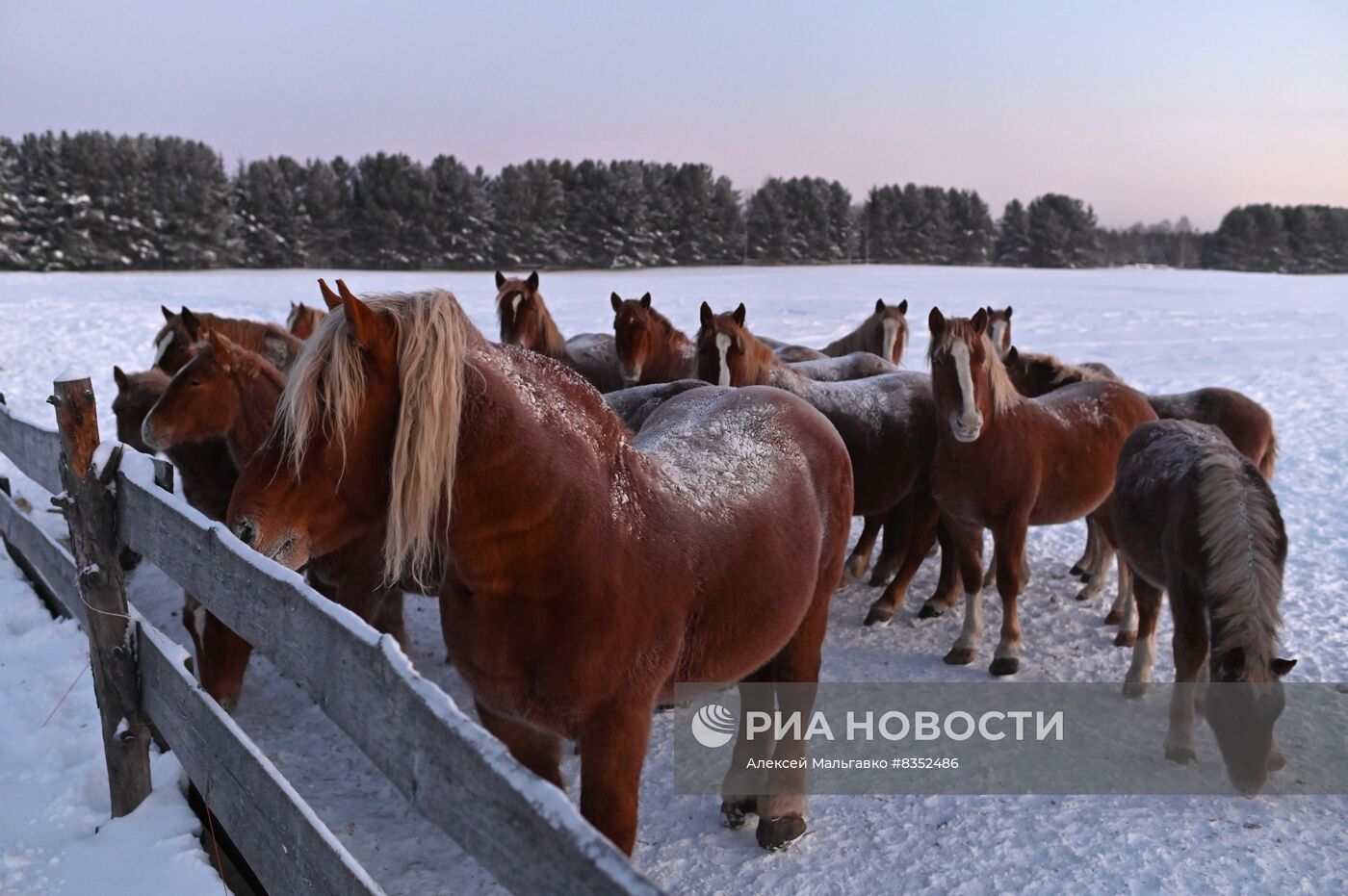 Сильные морозы в регионах России