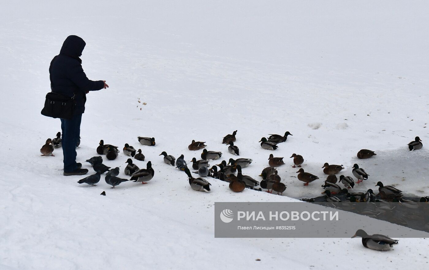 Сильные морозы в регионах России