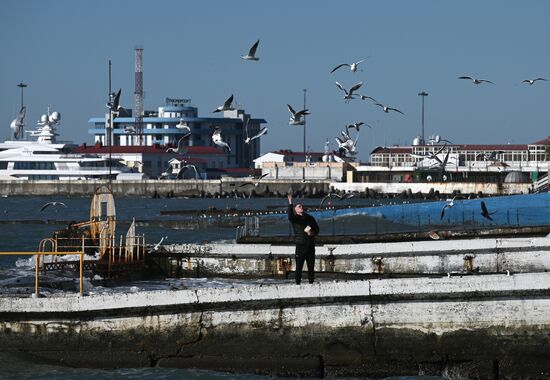 Зимние пляжи открылись в Сочи
