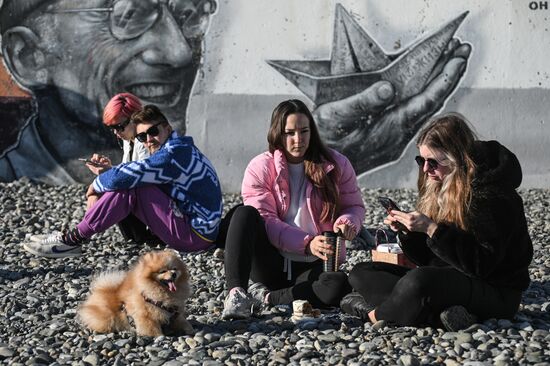 Зимние пляжи открылись в Сочи