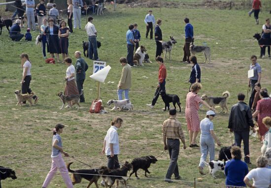 Первая выставка-фестиваль клуба любителей животных "ФАУНА"