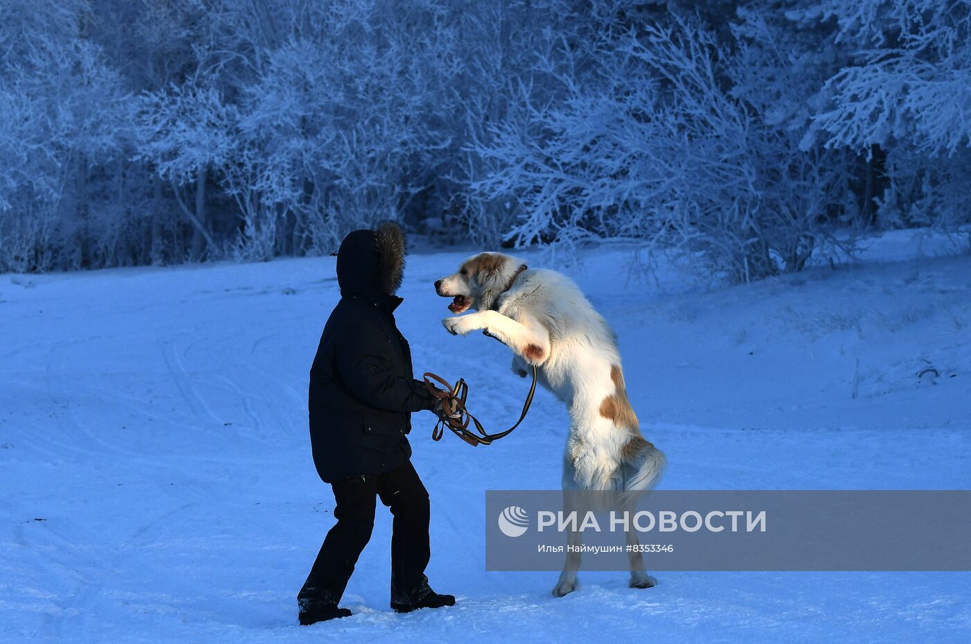 Сильные морозы в регионах России