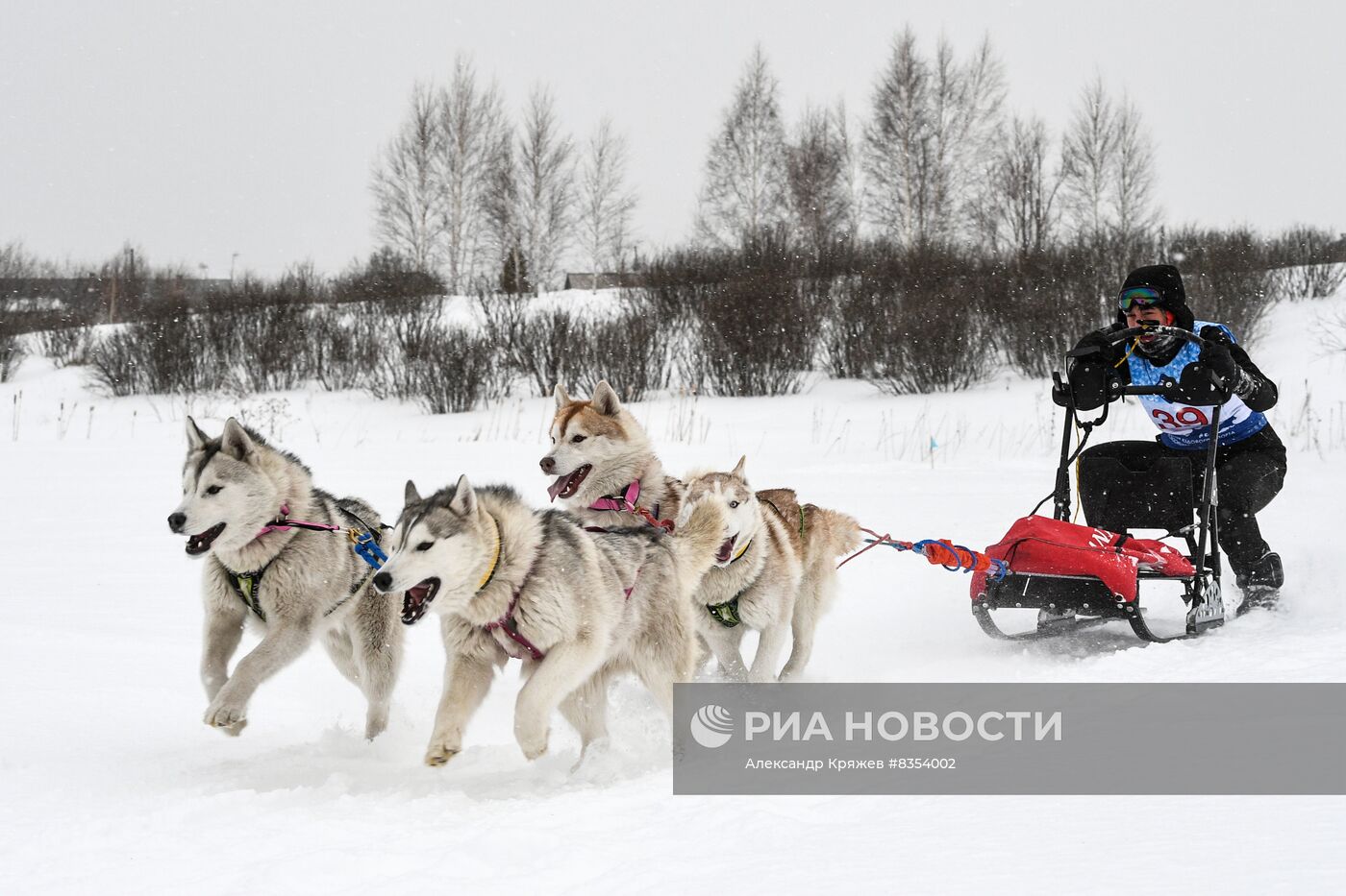 "Рождественский заезд - 2023" в Новосибирской области