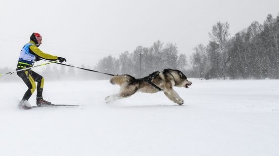 "Рождественский заезд - 2023" в Новосибирской области