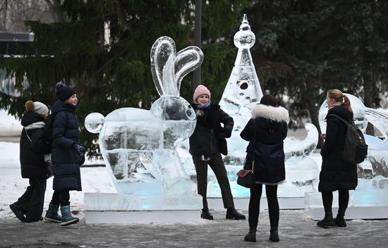 Ледяные скульптуры появились на ВДНХ